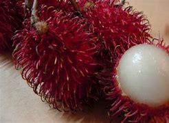 Sebutkan Dua Nama Buah Dari Huruf R